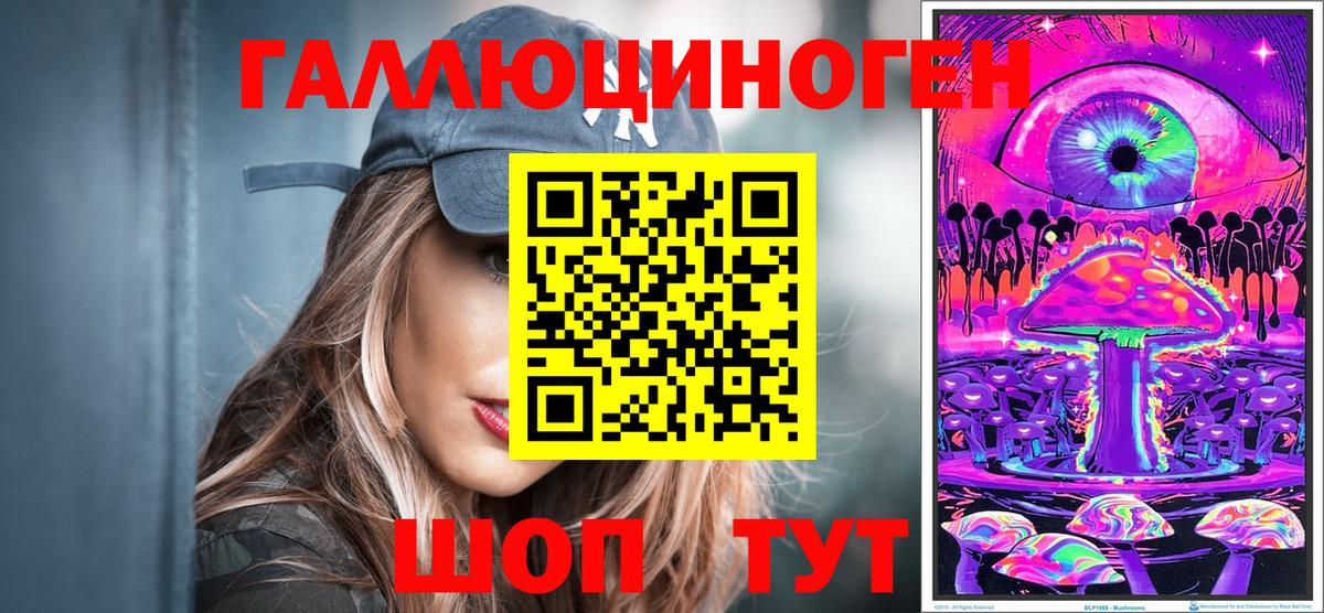 Галлюциногенные грибы Psilocybine cubensis Кулебаки
