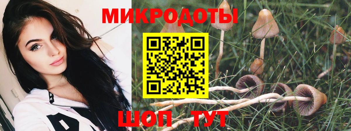 цены наркотик  Псилоцибиновые грибы Psilocybine cubensis  Вход с VPN  Кулебаки  Псилоцибиновые грибы мухоморы 